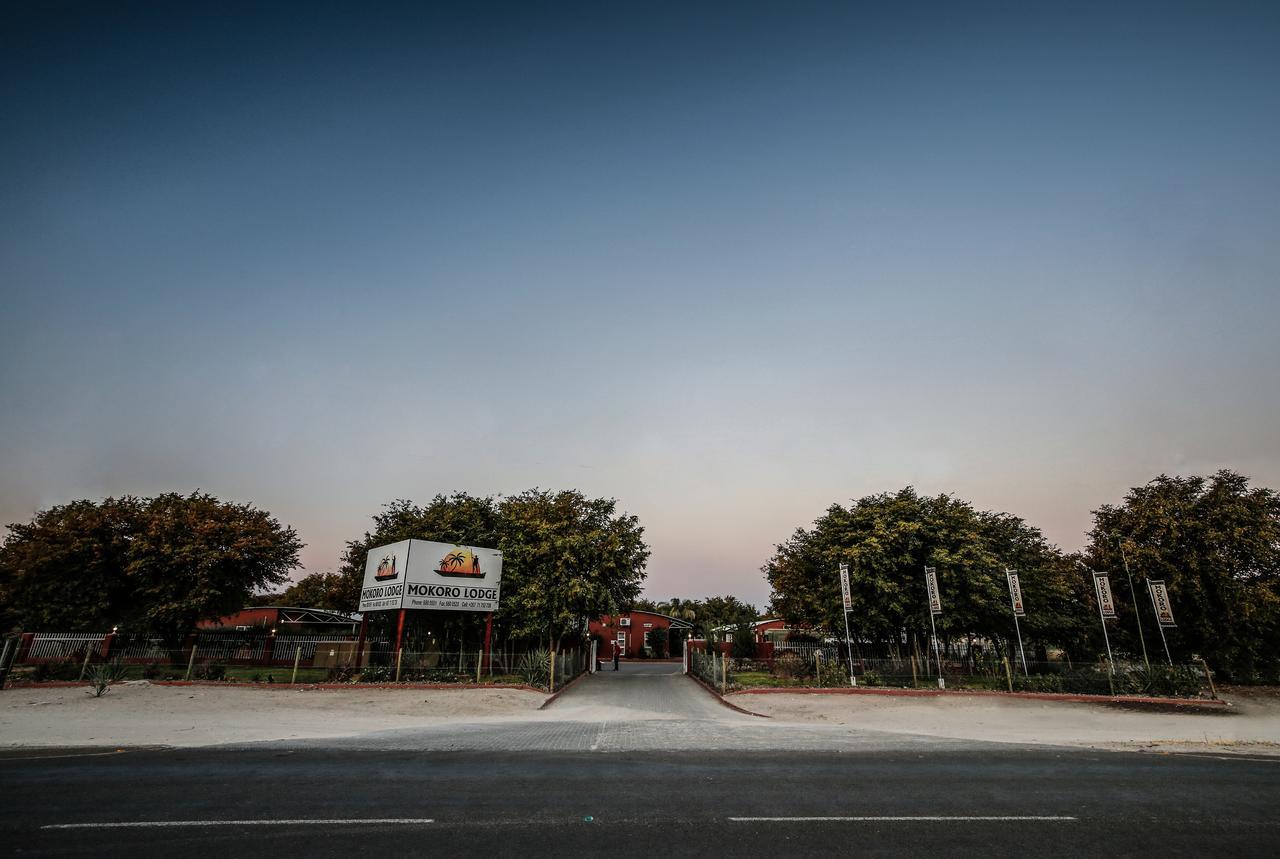Mokoro Lodge Maun Eksteriør bilde